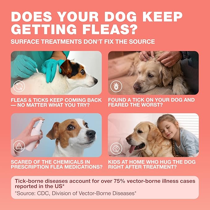 Dog Flea and Tick Treatment Chews - Flea and Tick Prevention for Dogs - Flea & Tick Chewables - Natural Dog Flea & Tick Control Soft Treats - Flea Chewables for Dogs - Immune Support Supplement