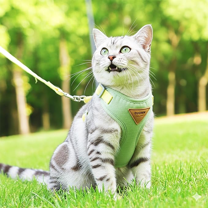 Escape-Proof Cat Harness and Leash Set - Adjustable and Comfortable - Ideal for Walking Cat Outdoors - Fits Small Dogs, Kittens, Medium, and Large Cats (Green, XS)