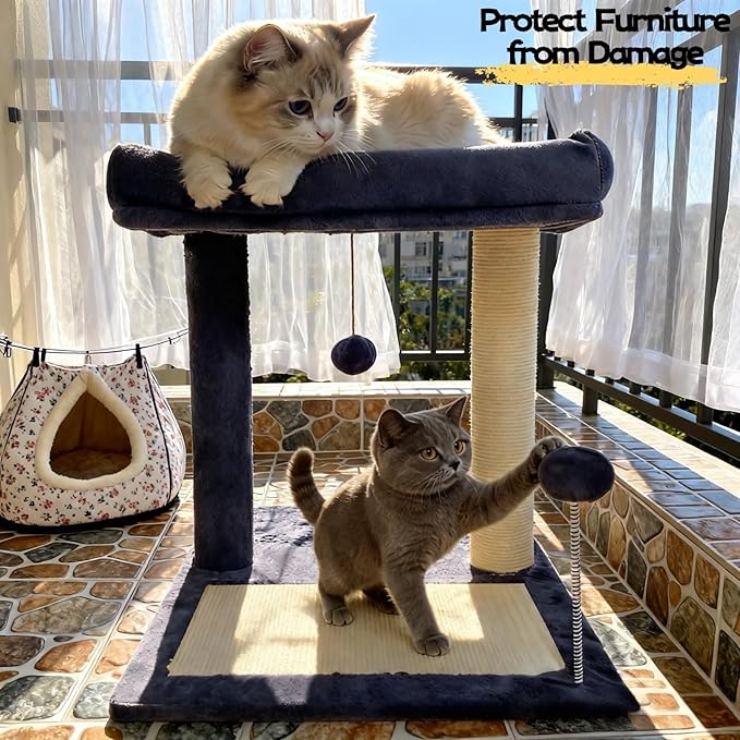 Cat Scratching Post, 19.69" H(50cm) Cat Tree with Cat Bed, Scratching Posts for Indoor Cats with Two Plush Balls Toy, Small Cat Tree for Kittens/Cats Playing and Relaxing (20 in Grey Cat Tree)