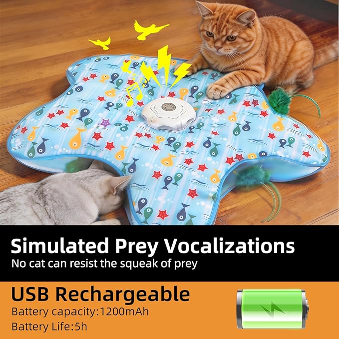 Interactive Cat Toy, Peek-a-Boo Series – Hidden Feather Wand, Rechargeable Indoor Hunting Toy, Squeaky Bird Sound, and Small Fish Pattern Cover