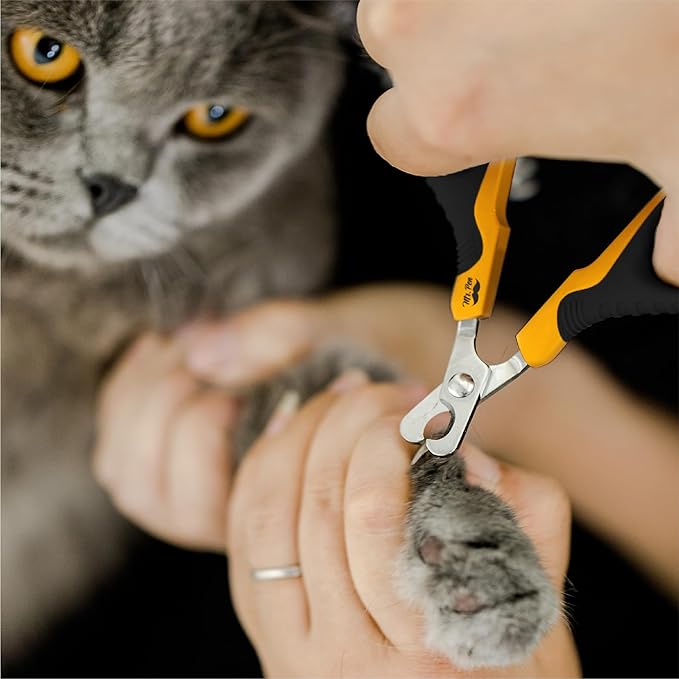 Mr. Pen- Cat Nail Clipper, Stainless Steel, Professional Sharp Cat Claw Trimmer for Small and Medium Cats, Pet Nail Clipper with Sturdy Non Slip Handle