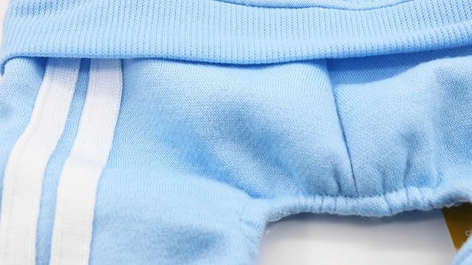 Puppy Dog Winter Wear: Hoodie, Sweater, Fleece Sweatshirt, Cat Apparel - Cotton, Small-Medium, 4 Legs, Boy Dog