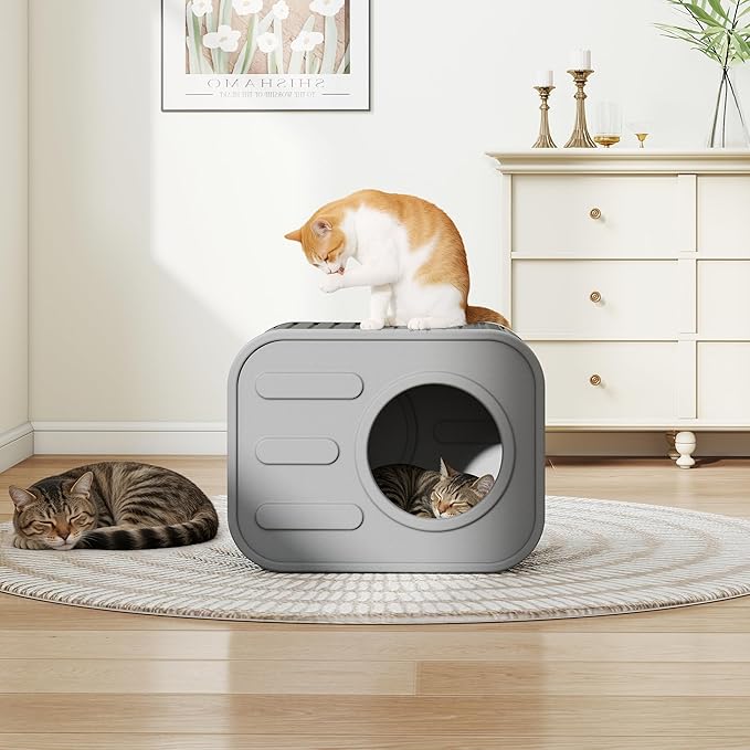 Outdoor Cat House Weatherproof with Camera-Shaped Design, Sturdy Resin Outside Cat Shelter for Patio, Insulated Cat House for Outdoor Cats