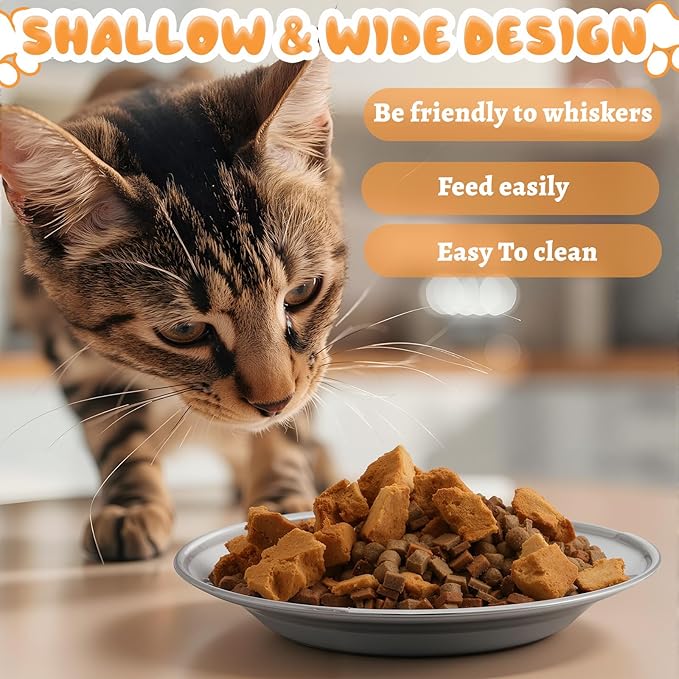 LemonRoad 8 Pcs Stainless Steel Cat Food Bowl Dishes 6.3 Inches Shallow and Wide Friendly Water Dishes Bowls for Indoor Cats Kitten and Small Pets Reducing Fatigue