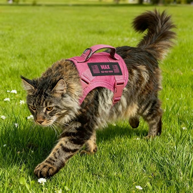 Custom Pink Tactical Cat Harness and Leash Escape Proof Adjustable Vest with Reflective Strips and Personalized Patch Soft Breathable Outdoor Gear for Walking Training Fits Cats 7-12 lbs