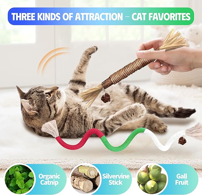 GBSYU Cat Toys Chew Rope & Silvervine Sticks for Bored Indoor Adult Cats, 6Pcs Interactive Catnip Toys for Cats with Refillable Natural Catnip Bag for Teeth Cleaning