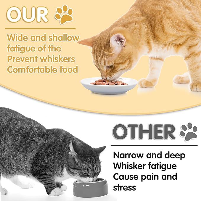 6 Pack Cat Food Bowl, Ceramic Cat Bowls, Anti Whisker Fatigue Cats Bowl Set,5.5 Inches Shallow Wide Kitten Plates for Food and Water (White-C)