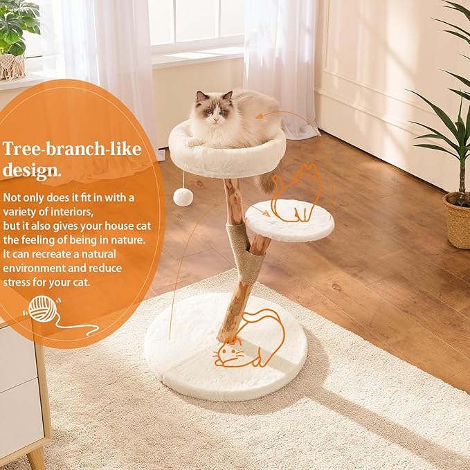 【2026 Upgraded】 YOCAN Modern Cat Tree Tower for Indoor Cats, 2-Tier Cat Furniture with Natural Wood Posts, Soft Plush Bed, Scratching Post & Hanging Ball Toy, Stylish Cat Climbing Tower