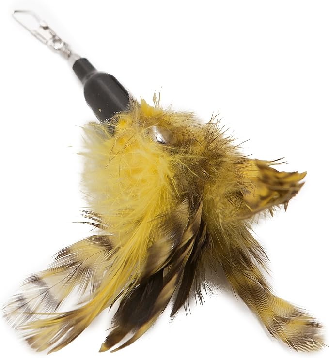 Cat Toys Feather Refill 6 Pack - Add Life to Your Cat's Favorite Toy with This Interchangeable Feather Refill Multipack (As Photographed).
