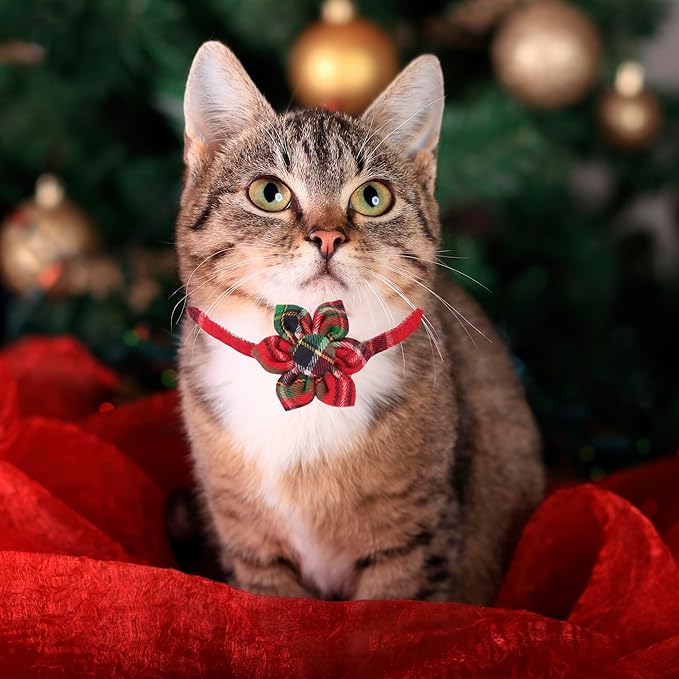 ADOGGYGO Christmas Cat Collar with Floral, 2 Pack Xmas Kitten Flower Collar, Red Green Plaid Christmas Collars for Cat Kitten