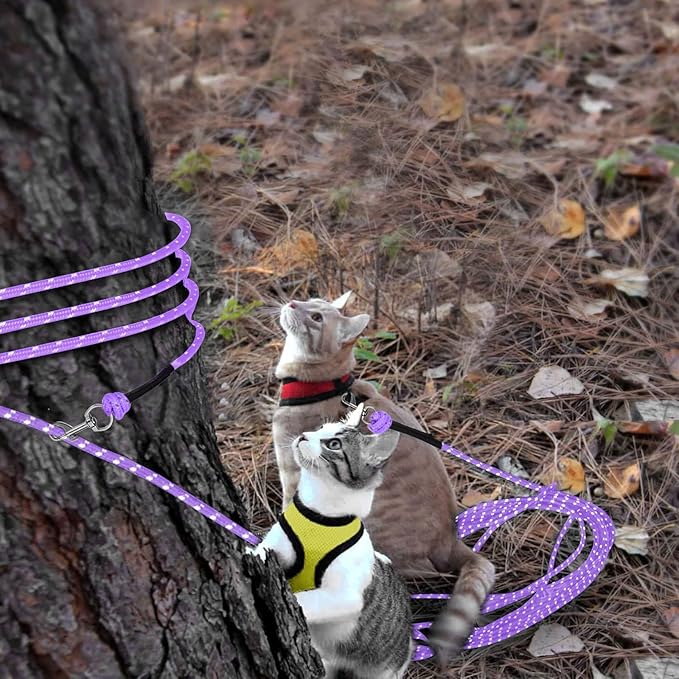 Rypet Reflective Cat Long Leash - 50 FT Escape Proof Walking Leads Yard Long Leash Durable Safe Personalized Extender Lead Traning Play Outdoor for Kitten, Puppy, Rabbit and Small Animals(Purple-L)