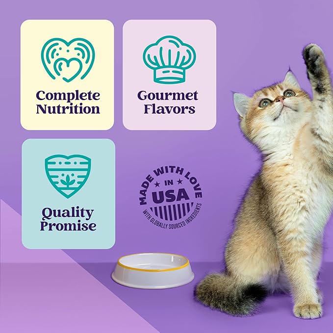 A Strong Heart Wet Cat Food Variety Pack, 4 Flavor Chicken & Seafood Patés & Shreds in Gravy Recipes, Made with Real Chicken & Fish, Made in The USA, 5.5oz Can (40 Count)