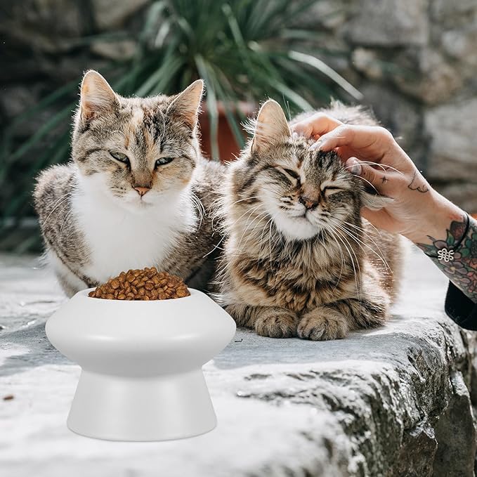 COLLBATH Ceramic Pet Drinking Bowl Elevated High Feet Dog Feeding Bowl Flat Face Cat Water Feeder Raised Design for Neck Support Random Color