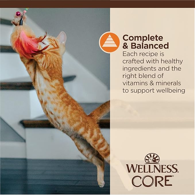 Wellness CORE Tiny Tasters Minced Adult Wet Cat Food,Natural,Protein-Rich,Grain Free,1.75-Ounce Pouch,(Chicken),(Pack of 24)