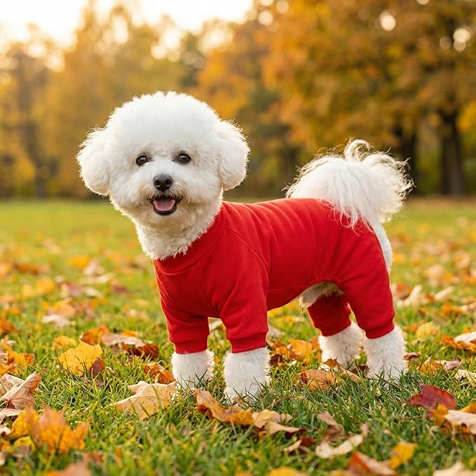 Velvet Dog Pajamas Stretchy Pet Clothes Puppy Jumpsuit Solid Color Cat Clothes for Small Pet Dog and Cat (Red, Large)