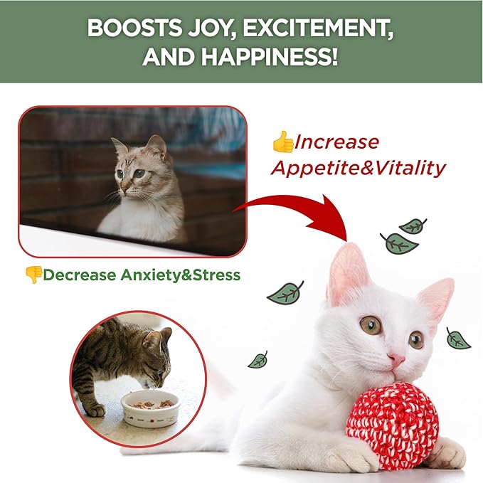 JAYU PET Active Catnip Spray - High Potency Transparent Liquid Spray Made of Fresh Organic Catnip for Indoor Cats and Kittens, Relieves Stress, Calming, Revives Toys (1fl oz) (Catnip Spray, 1fl oz)