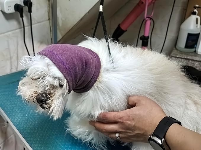 Dog Head Cover Keep Calm Ear Wrap Neck Muff Wrap Hematoma Dog Ear Cover Pail Lilac+Pink M