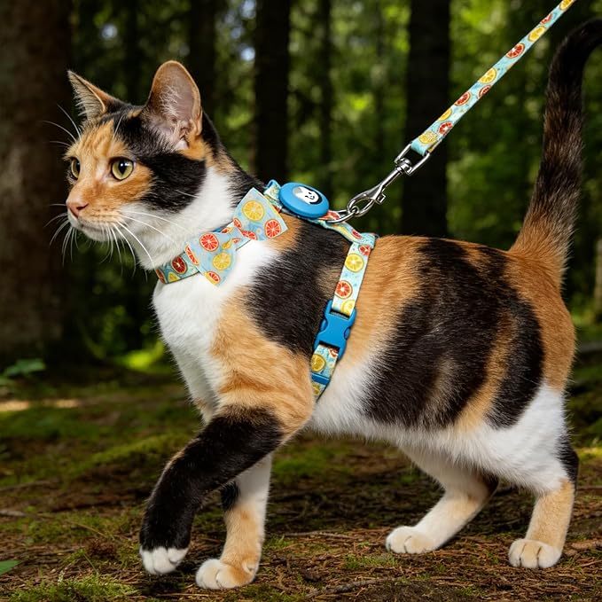 EXPAWLORER Cat Harness and Leash Set with AirTag Holder, Escape Proof Safe Lightweight Adjustable Soft Kitten Harness Set with Bowknot for Small Medium Large Cat Walking Travel Outdoor, Lemon