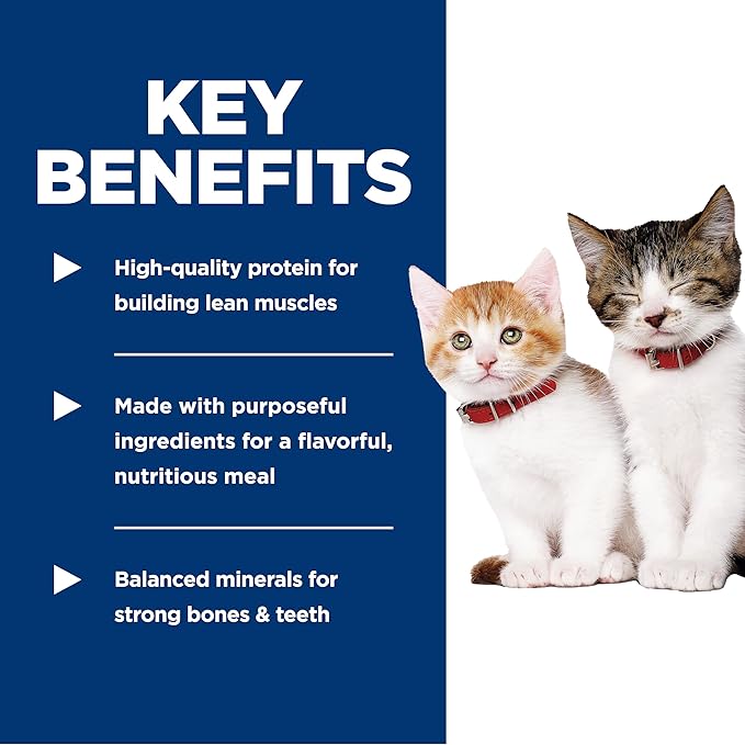 Hill's Science Diet Kitten Wet Cat Food, Salmon, 5.5 oz. Cans, 24-Pack