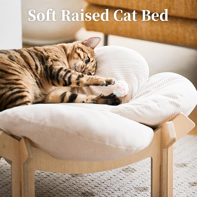 PACHIRA Elevated Cat Bed Wooden, Cat Couch Fluffy, Cat Sofa Flower for Indoor Cats, Raised Cat Bed with Washable Fluffy Cushion and Birch Wood, Cat Chair for Kitty and Puppy, Cat Furniture (White)