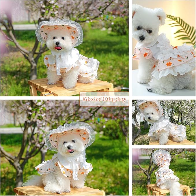 2 Pcs Pet Floral Dress and Lace Sunhat, Summer Skirt with Laces for Dog, Cute Bowknot Dresses for Cat, for Birthday Party and Outdoor Travel (Orange, X-Large)