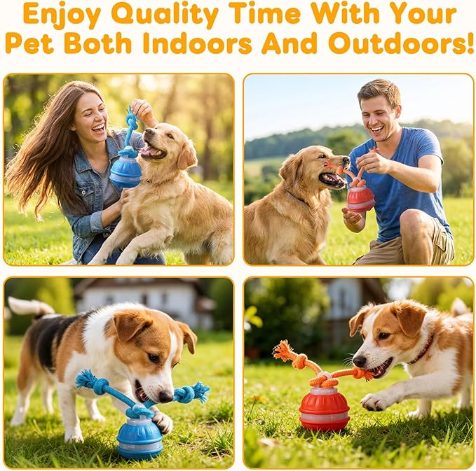 Zealburst Interactive Pet Toy, 360° Auto Rolling Moving Toy for Dogs and Cats, Alleviate Boredom (Blue)