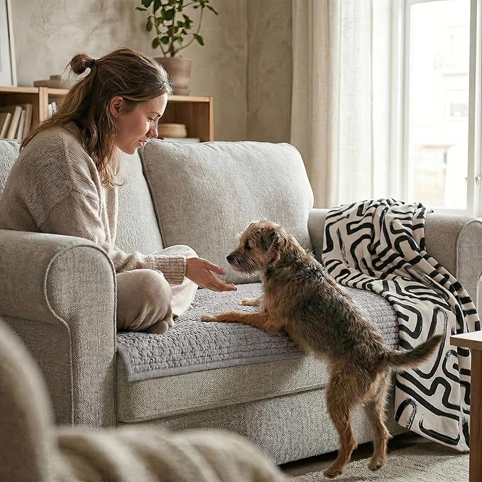 PAULATO BY GA.I.CO. Waterproof Couch Cover – 24x47 Blanket for Sofa Car Seat or Crate – Machine Washable Absorbent Reusable Pad for Puppy Training – Dogs Cats Pets Friendly Protector - Light Grey