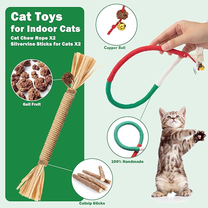 4Pcs Cat Chew Toys | 2 Silvervine Sticks & 2 Cat Cotton Rope Toys with Natural Catnip Stuffed Bags | Safe Tooth Cleaning Cats Indoor Toys | Silver vine Sticks & Catnip Rope Kitten Tooth Cleaning Toys