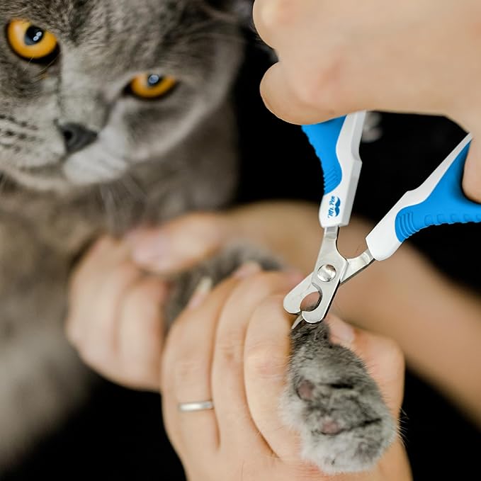 Mr. Pen- Cat Nail Clipper, Stainless Steel, Professional Sharp Cat Claw Trimmer for Small and Medium Cats, Pet Nail Clipper with Sturdy Non Slip Handle