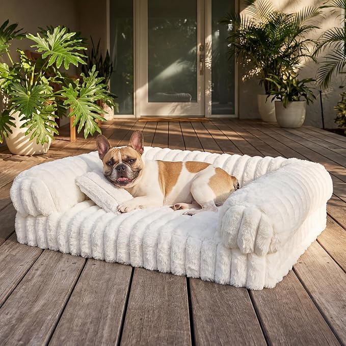 Cat Bed, Cat Beds for Indoor Cats, Winter Self Warming Pet Sofa Bed, Washable Medium Pet Bed for Puppy and Small to Large Kitten with Anti-Slip Bottom, Fits Up to 65lbs Pets