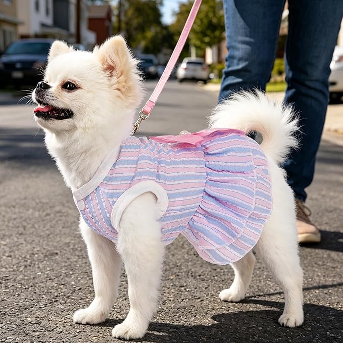 Dog Dresses for Small Dogs Girl, Cute XXS Girl Dog Clothes, Rose Pink & Purple Puppy Clothes, Tiny Doggie Princess Outfits for Chihuahua Yorkie Teacup Female, 2 Pack