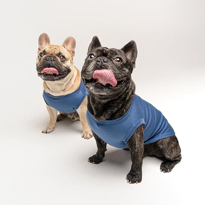 Daddy's Boy Father's Day Dog Tee Shirt | Sleeveless | Sizes for Puppies, Toys and Large Breeds (Royal Blue, 3X-Large 943)