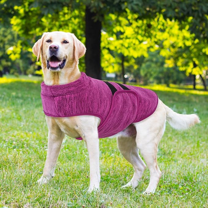 Queenmore Small Dog Sweaters, Soft Fleece Vest Pullover Dog Jacket with Leash Hole, Warm Winter Dogs Clothes Cold Weather Doggy Dachshund Sweater for Small Dogs Cats Boy or Girl (Cationic Berry, XS)