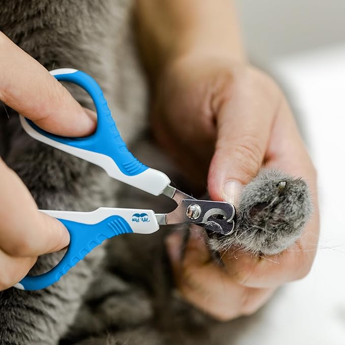 Mr. Pen- Cat Nail Clipper, Stainless Steel, Professional Sharp Cat Claw Trimmer for Small and Medium Cats, Pet Nail Clipper with Sturdy Non Slip Handle
