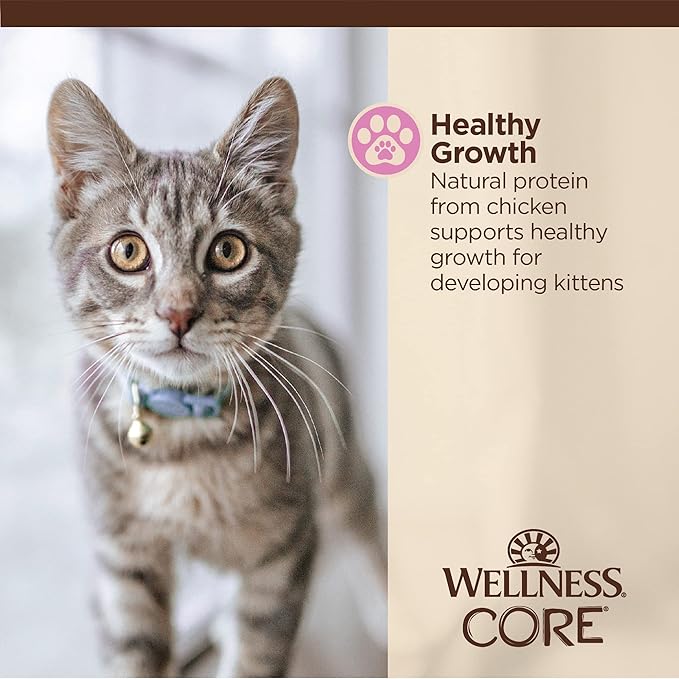 Wellness CORE Tiny Tasters Minced Kitten Wet Cat Food, Natural, Protein Rich, Grain Free, Chicken Recipe, 1.75 oz, Pack of 12 Pouches