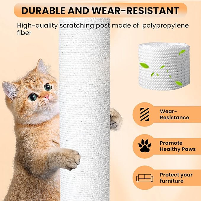 62” Tall Cat Tree for Outdoor and Indoor Cats, Weatherproof Large Outdoor Cat Condo with Scratching Posts