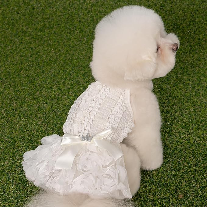 Pinkaholic New York Otelia Dog One-Piece Dress Trendy Fashionable Cute Elegant Dog Apparel for Small Dogs, Ivory, Medium