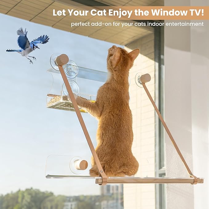 Acrylic Transparent Cat Window Set- Modern Style with Wood & Leather Straps | for Large Indoor Cats & Kittens| Washable & Easy-Cleaning Cat Bed & Hammock | Cat Funiture, Accessories & Gifts