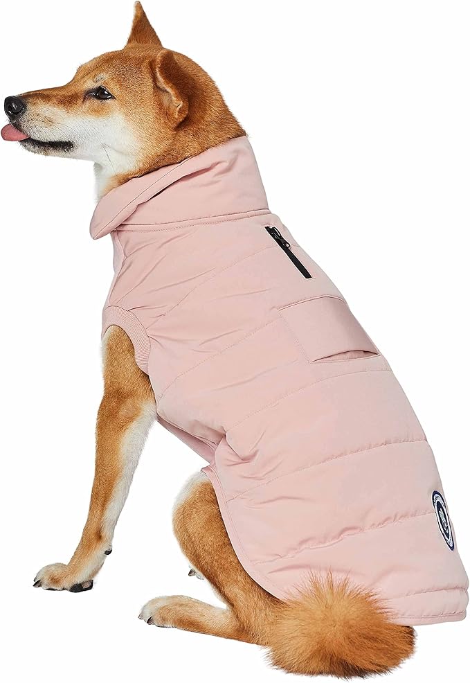 Blueberry Pet Cozy & Comfy Windproof Waterproof Quilted Fall Winter Dog Puffer Jacket in Pink, Back Length 12", Size 10", Warm Coat for Small Dogs
