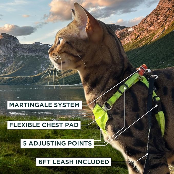 OutdoorBengal Always On™ Martingale Cat Harness and Leash Escape Proof Set – Vest for All-Day Kitten Adventures – Adult Cats - Cat Leash and Harness Escape Proof + Leash (Yellow Reflective, XL)