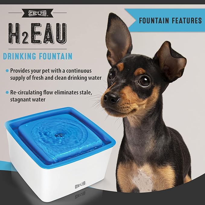 ZEUS Mini Elevated Dog Water Dispenser, Dog Drinking Water Fountain, Small Dog Breeds
