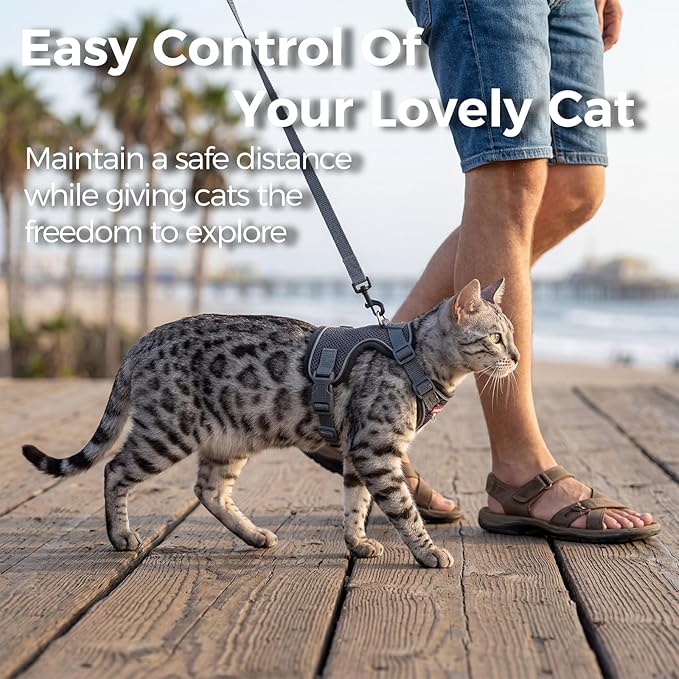 Cat Harness and Leash Kitten Harness Escape Proof Lightweight Breathable Mesh Cat Leash for Walking Travel, Grey, X-Large