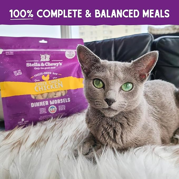 Stella & Chewy's Freeze-Dried Raw Cat Dinner Morsels - Premium Chicken Recipe with 98% Cage-Free Meat & Organs - Natural Grain-Free Cat & Kitten Food - Made in USA - 1 oz (Pack of 2)