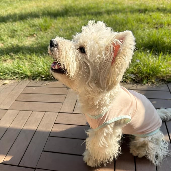2Pcs Cooling Shirts for Small Dogs, Sleeveless Dog Vest, Lightweight Breathable Dog Summer Tank Top Sun Protection Shirts for Dogs Cats Pet Apparel (MintGreen Pink, Large Size for 8.5-12lb Pets)
