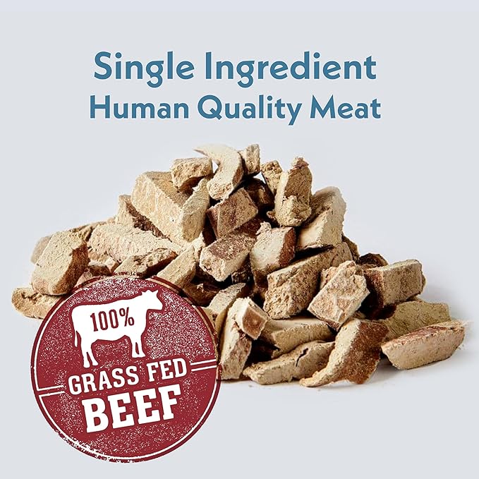 Fresh Is Best Beef Liver Fillets Freeze Dried Dog Treats – Raw Freeze Dried Dog Food for Cats & Canines – Training Treat in Resealable Zipper Bag – Grass-fed & Finished Beef Made in the USA