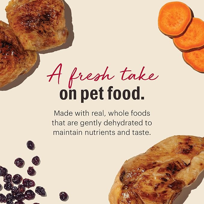 The Honest Kitchen Human Grade Dehydrated Cat Food, Grain Free Chicken Cat Food, 2 lb Box
