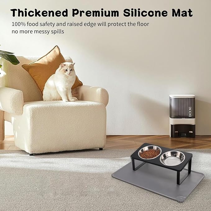 2Pack Elevated Cat Bowls with Food Mat,15°Tilted Stand Anti Vomiting Raised Cat Dishes for Food and Water,2 Stainless Steel Bowls for Cats and Puppy,Black
