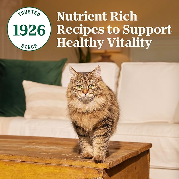 Nutro Wholesome Essentials Dry Cat Food, Adult Cat Food Dry Chicken & Brown Rice Recipe, 5 lb. Bag