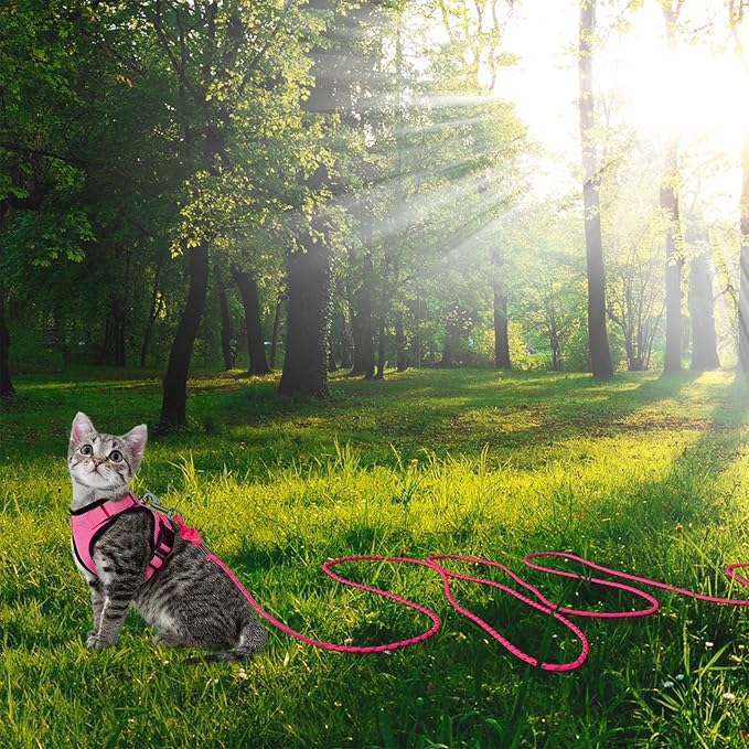 Reflective Cat Leash -30FT Cat Cable Out Escape Proof Walking Yard Long Durable Safe Leash Traning Play Outdoor for Puppies/Kittens/Small Animals(Hotpink)