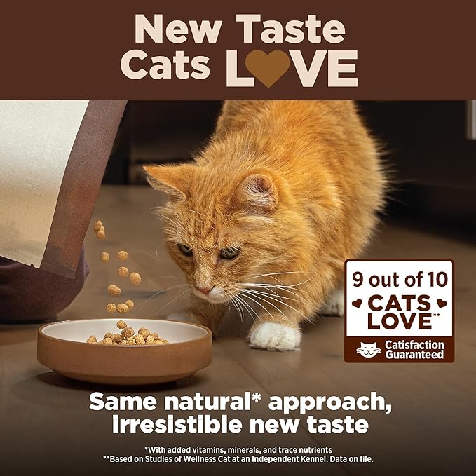 Wellness CORE+ Adult Dry Cat Food, Natural, Wholesome Grains Kibble, Digestive Health Chicken and Rice Recipe, 5 lb Bag